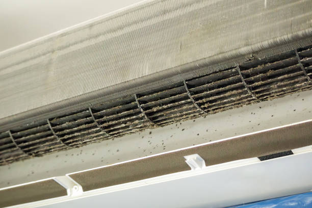 Best Air Vent Cleaning Services  in East Orange, NJ